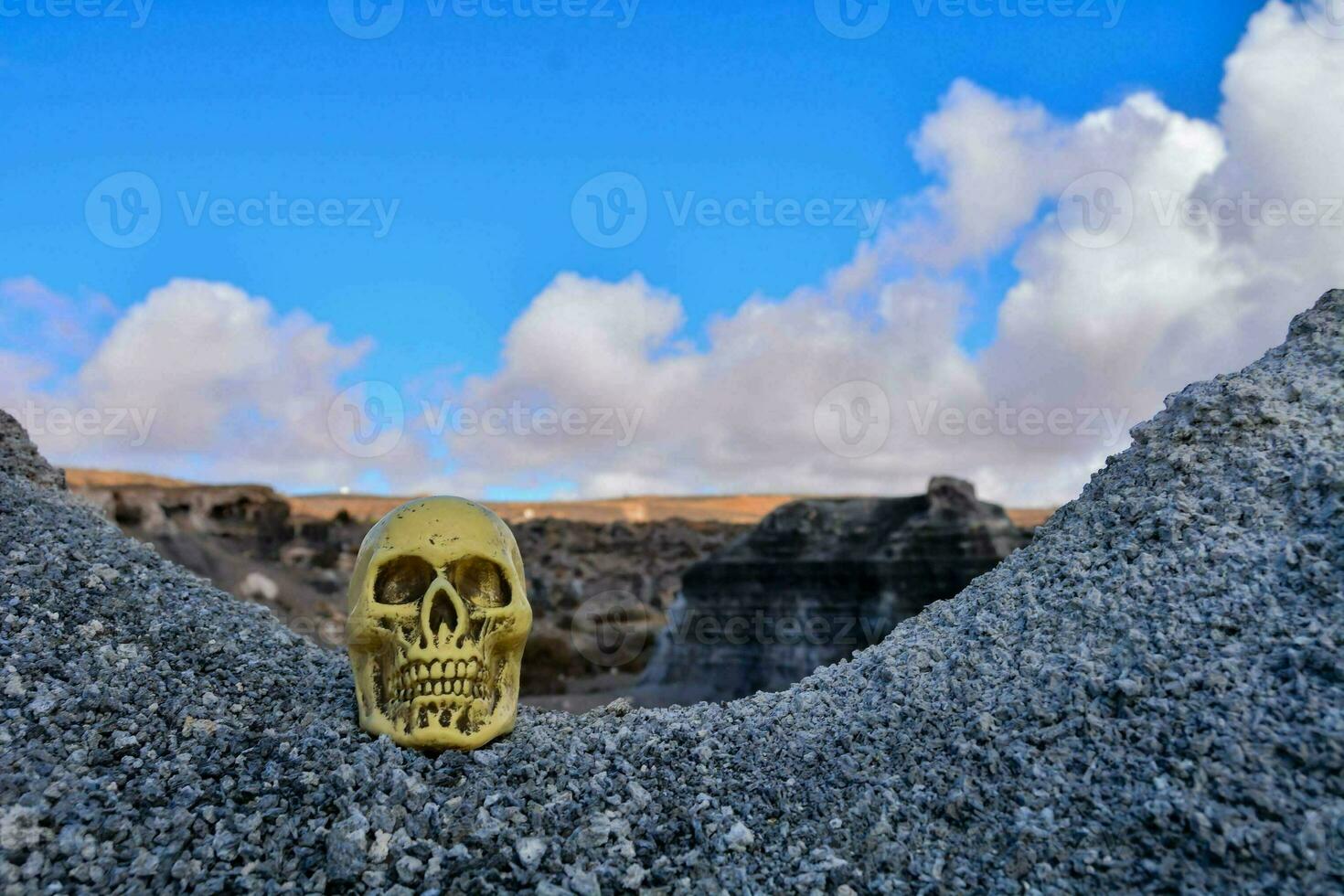 Skull on rocks photo