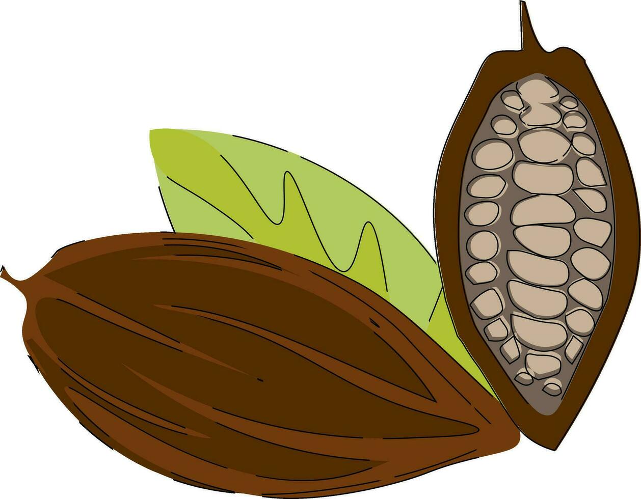 Cacao nibsClipart of cacao beans vector or color illustration