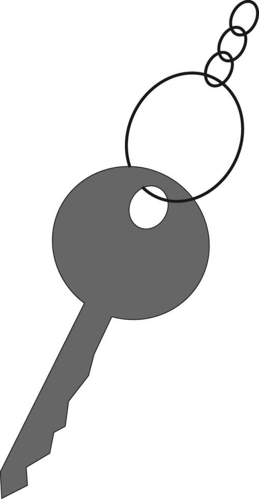 Key iconGrey key vector or color illustration