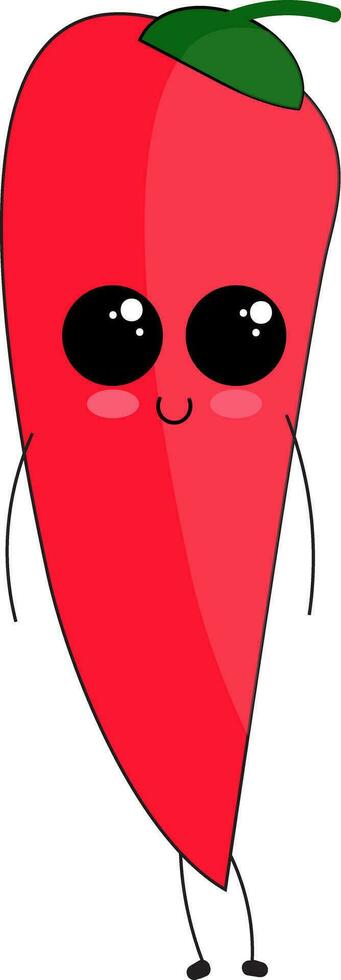 Image of chilly pepper  chili peppers, vector or color illustration.