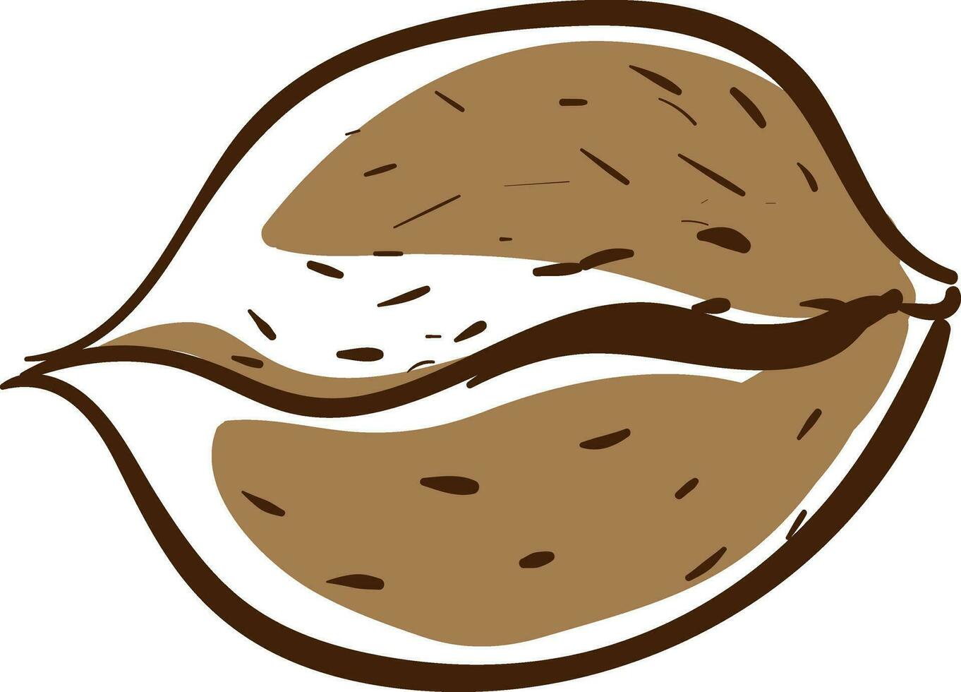 Sketch of a brown nut , vector or color illustration