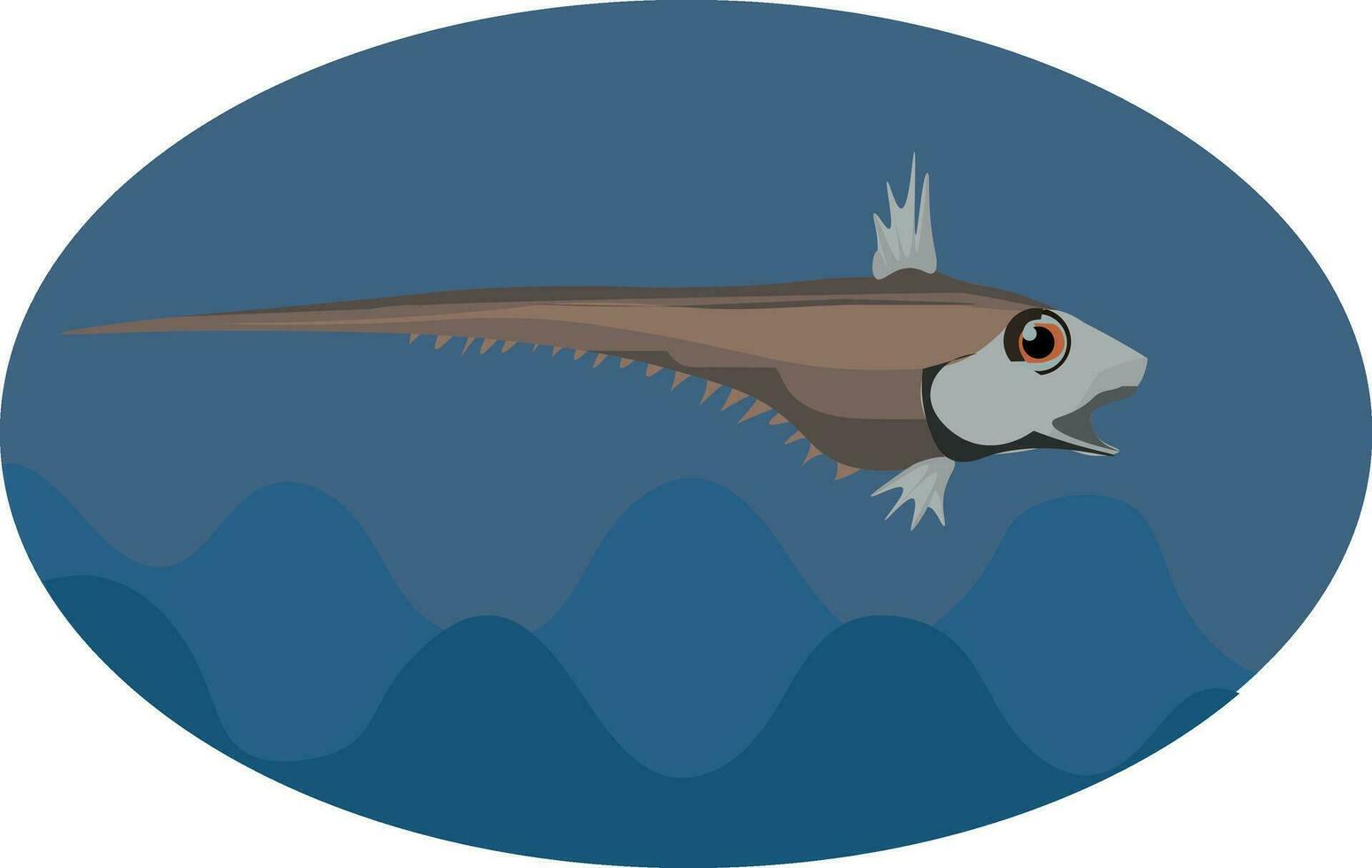 Portrait of the Macrourus fish over blue background, vector or color illustration