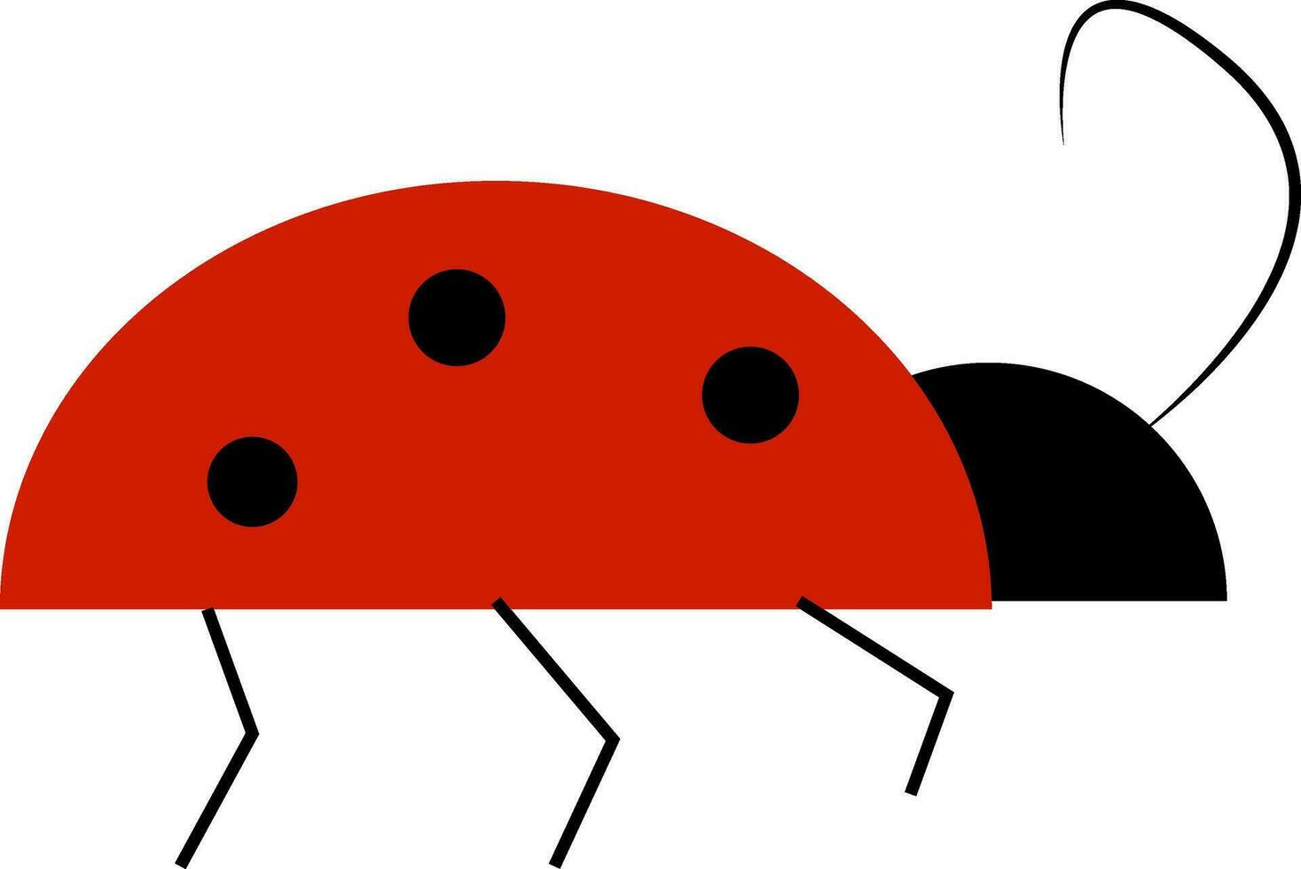 A red bug vector or color illustration