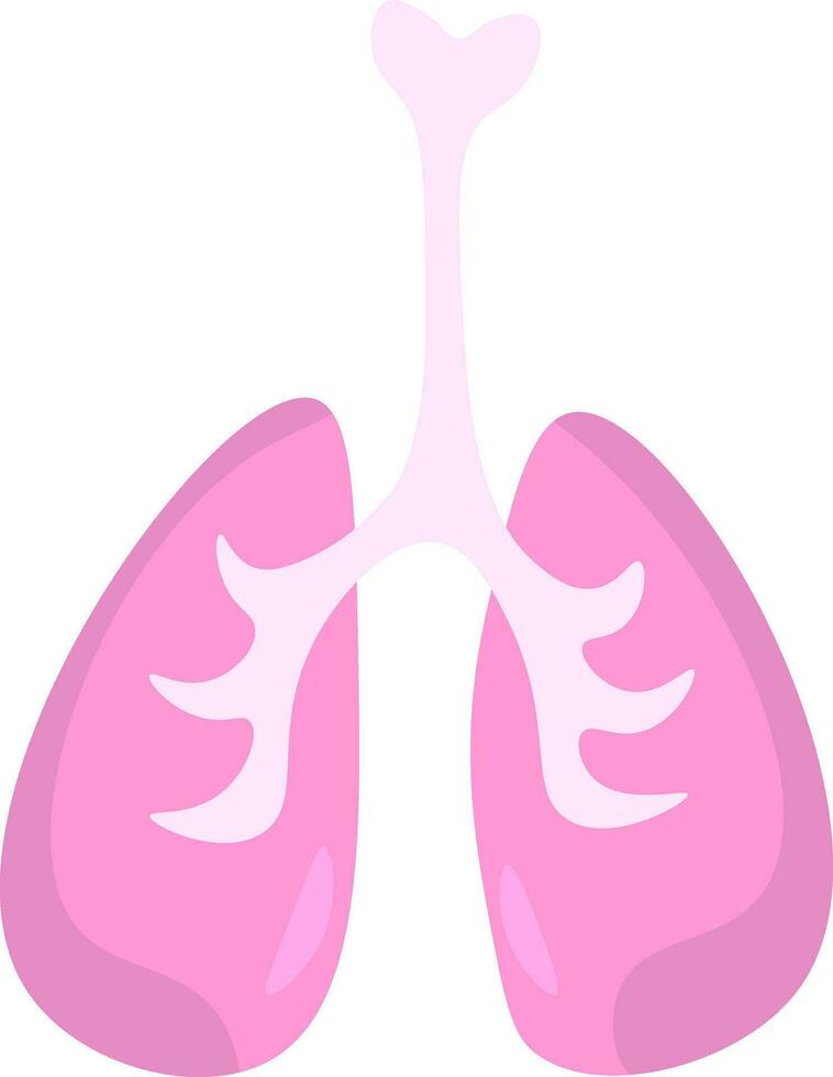 un interno respiratorio Organo vector o color ilustración