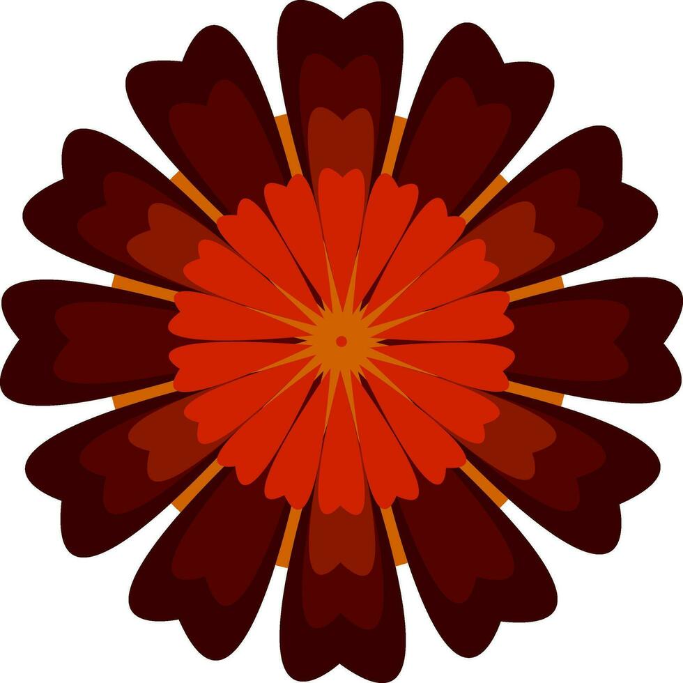 A flower with red and brown petals vector or color illustration