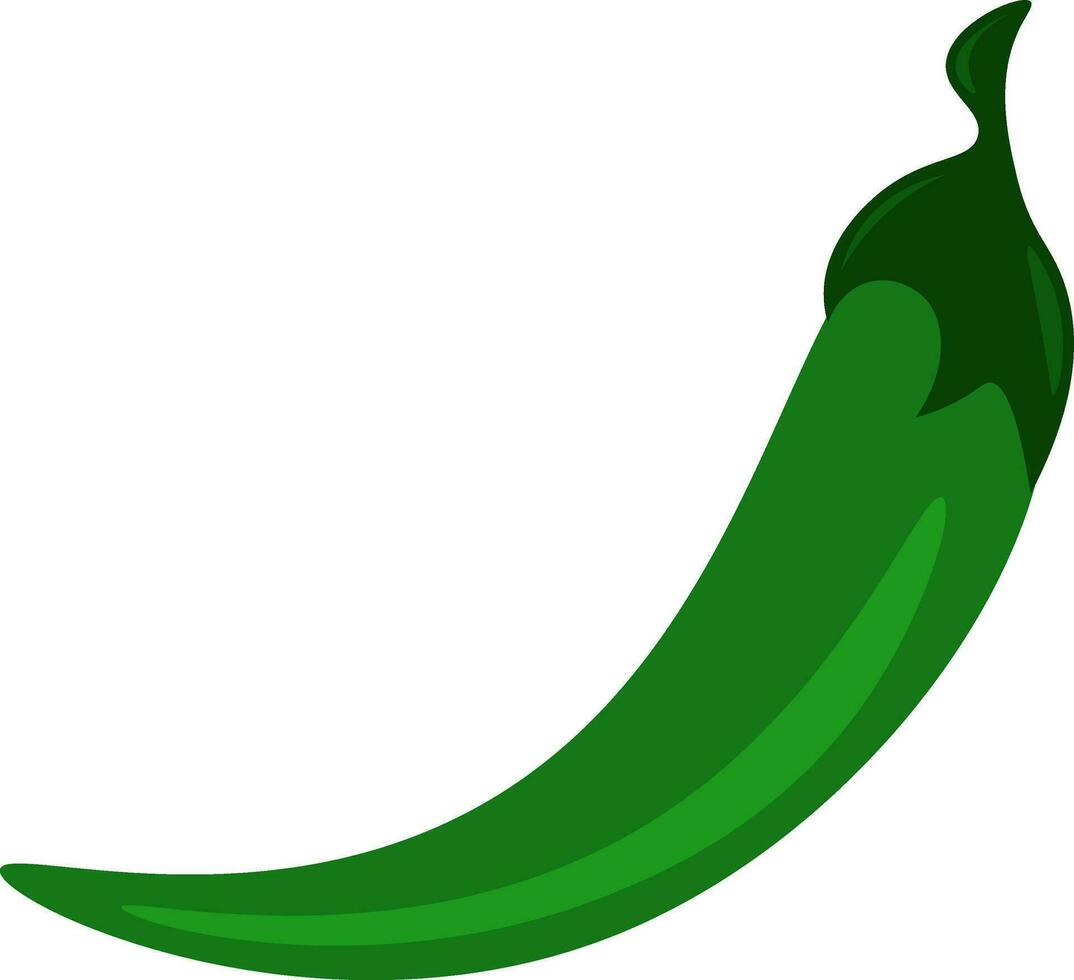 A long spicy green pepper used to amake a spicy dish vector color drawing or illustration