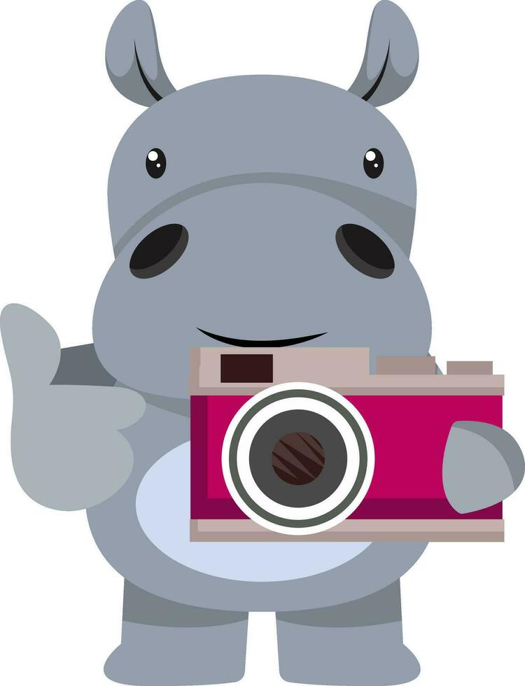 Hippo with camera, illustration, vector on white background.