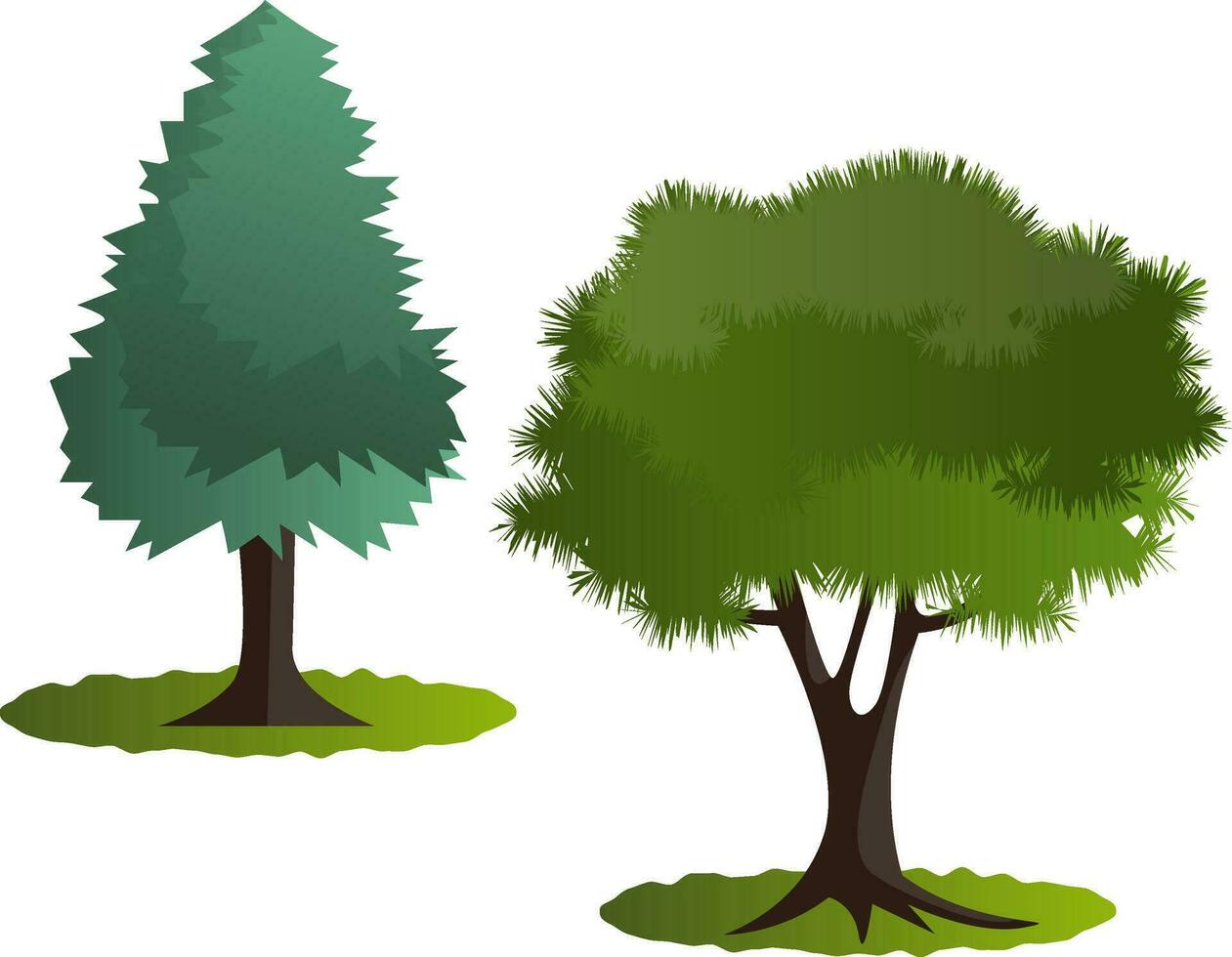 Couple of green trees vector illustration on white background