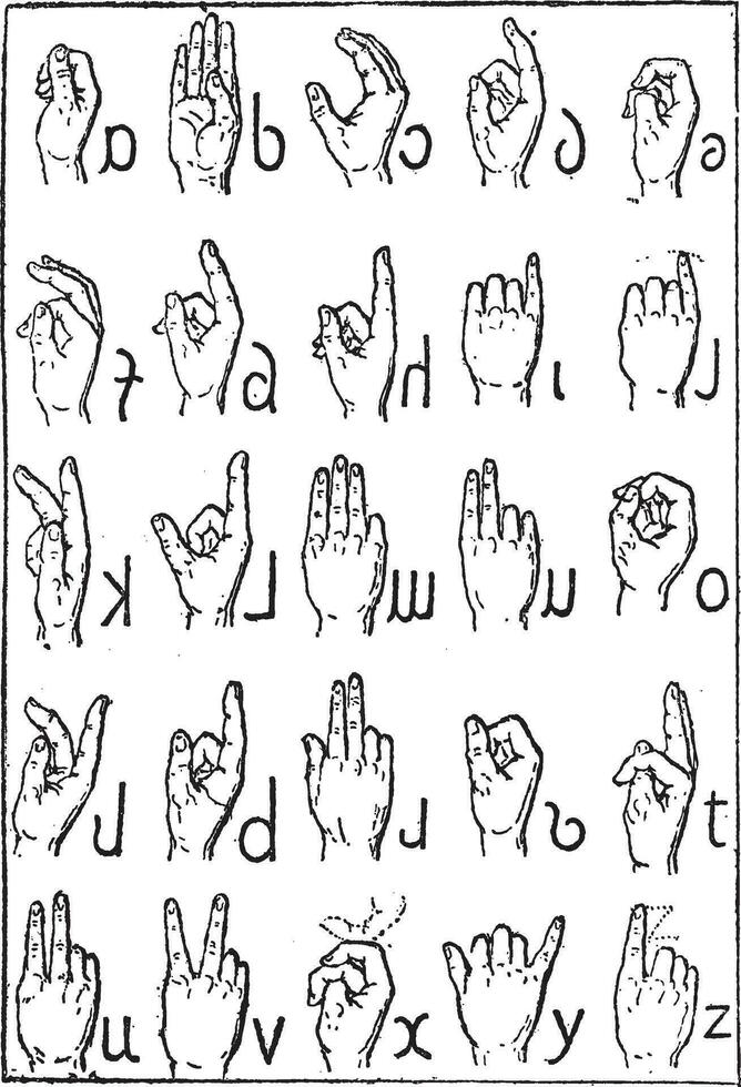 Alphabet of deaf-mutes, vintage engraving. vector