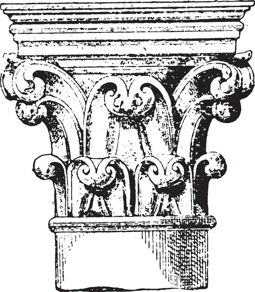 Capital xii Century, one of the columns of the choir of Notre-Dame de Paris. vintage engraving. vector