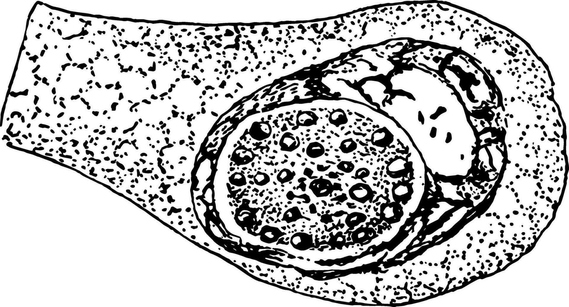 Formation of Cyclospora Cayetanensis Egg-cell, vintage illustration vector