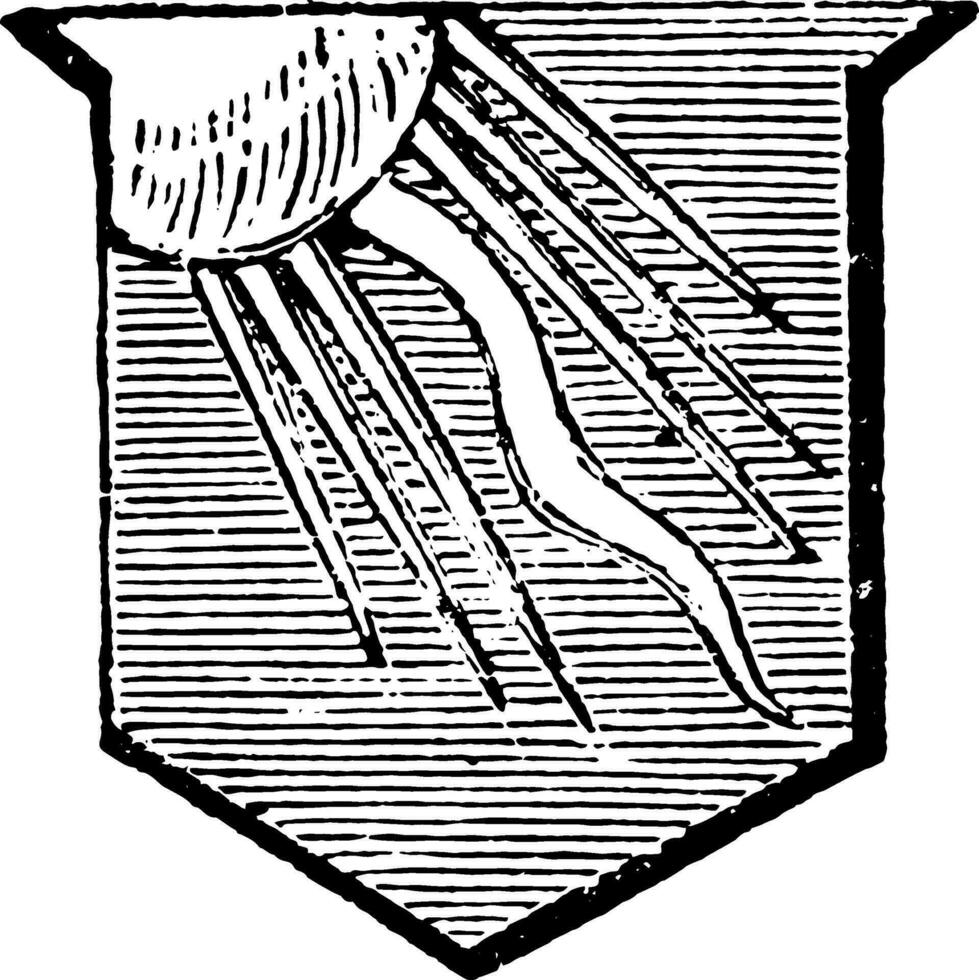 rayo de Dom emisor fuera de el diestro esquina de el escudo, Clásico grabado. vector