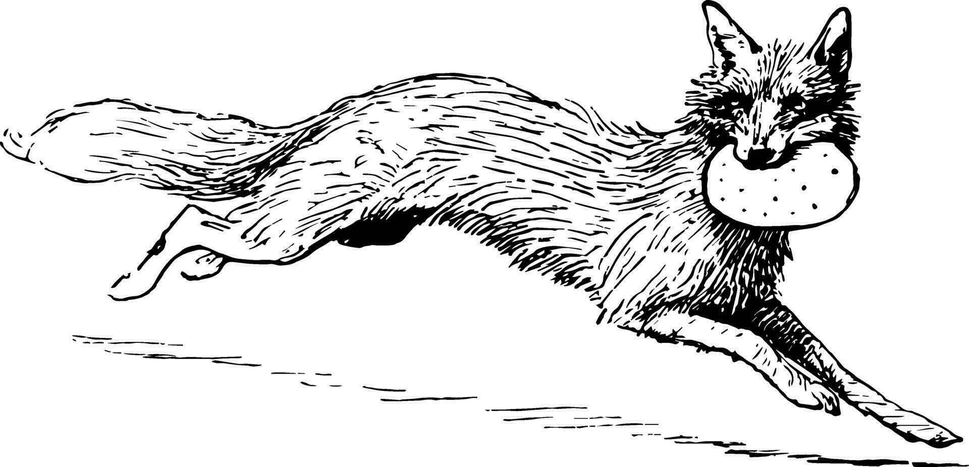 Reynard the Fox Stealing the Treasure, vintage illustration vector