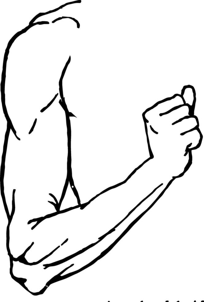 Arm vintage illustration vector