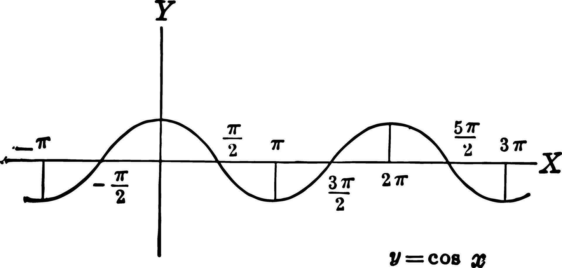 Cosine Curve ycos x
 vintage illustration. vector