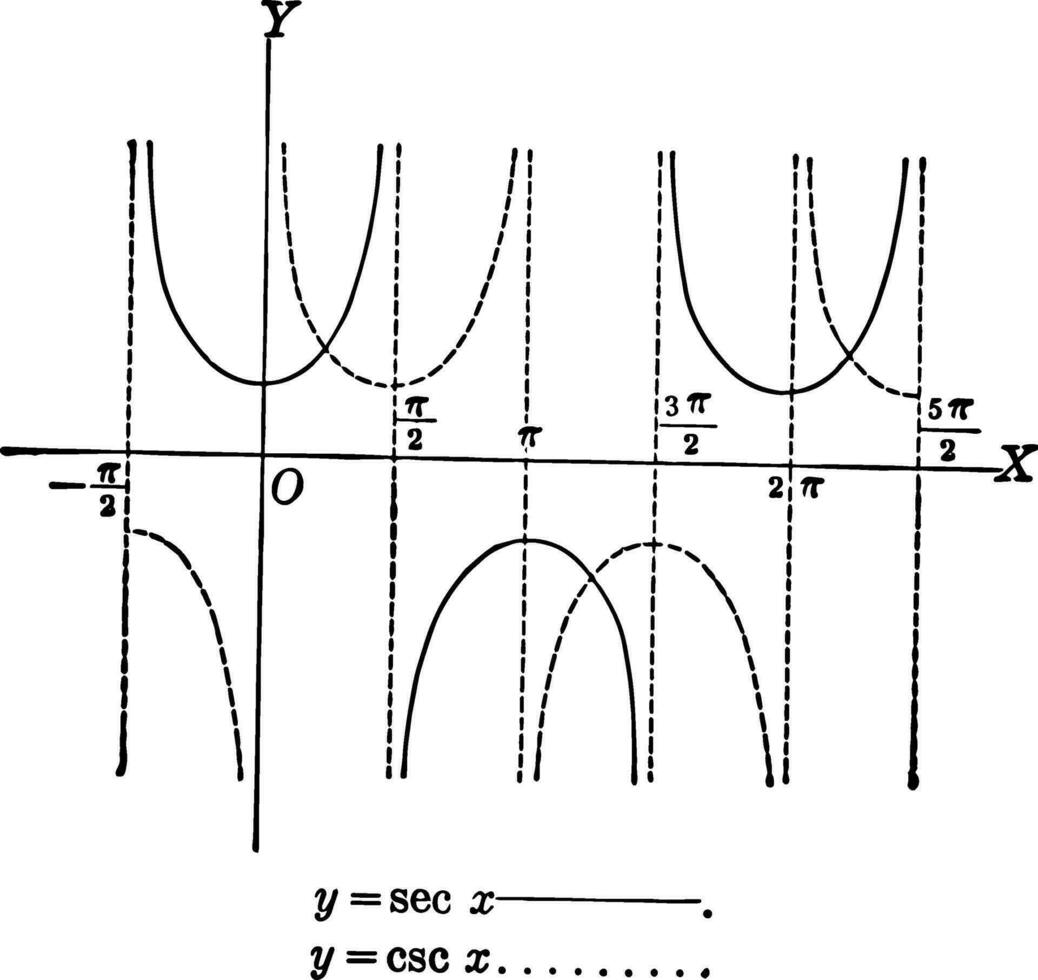 Secant and Cosecant Curves, ysec x and ycsc x
 vintage illustration. vector