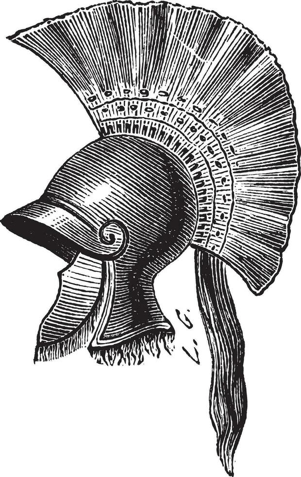 Greek helmet criniere de cheval vintage engraving vector