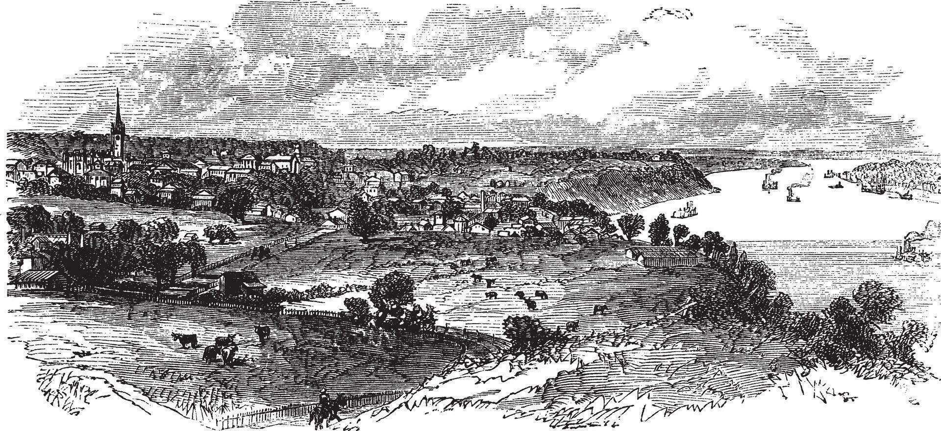 Natchez in Mississippi, USA, vintage engraved illustration vector