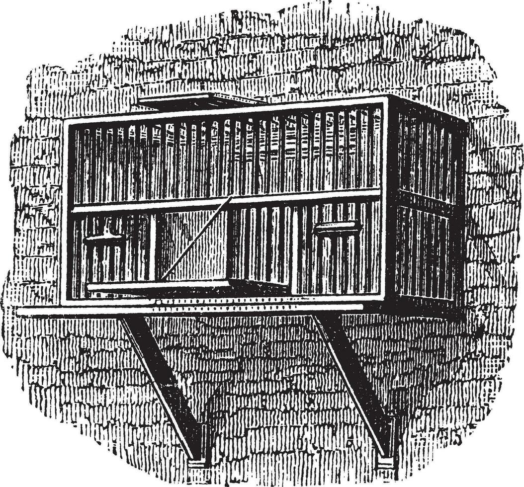 Area or a pigeon cage, vintage engraving. vector