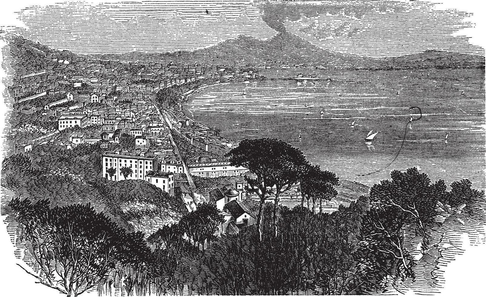Naples in Campania, Italy, vintage engraved illustration 35036515