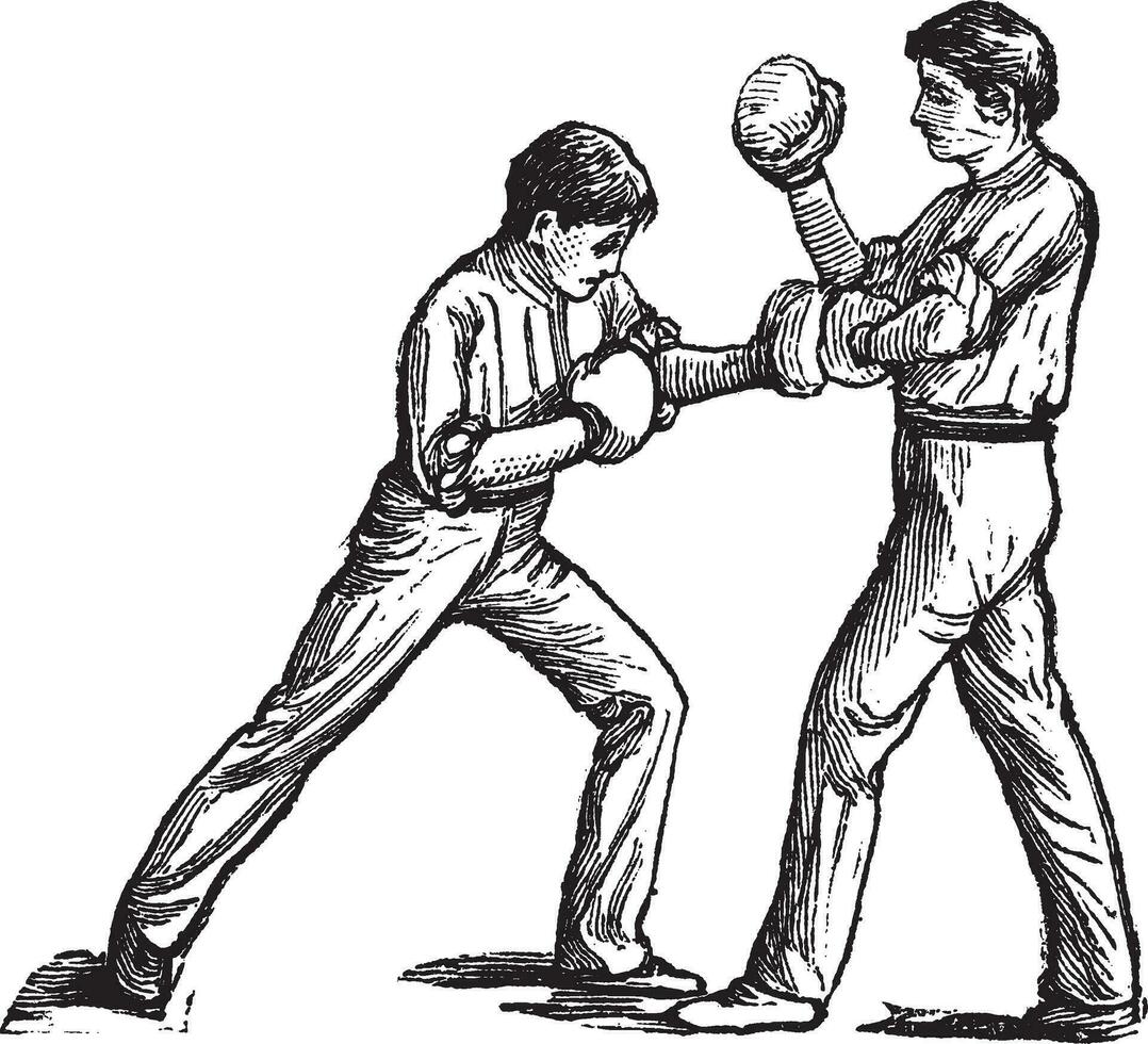 Two boxers fighting vintage engraving vector