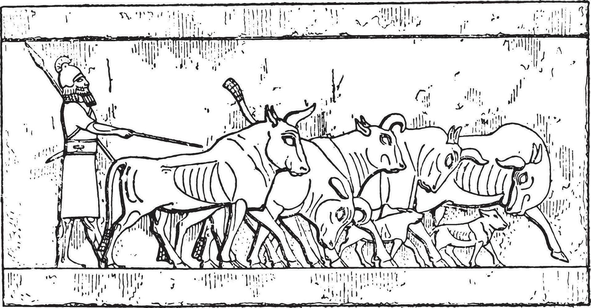 An Assyrian Cattle, vintage engraving. vector