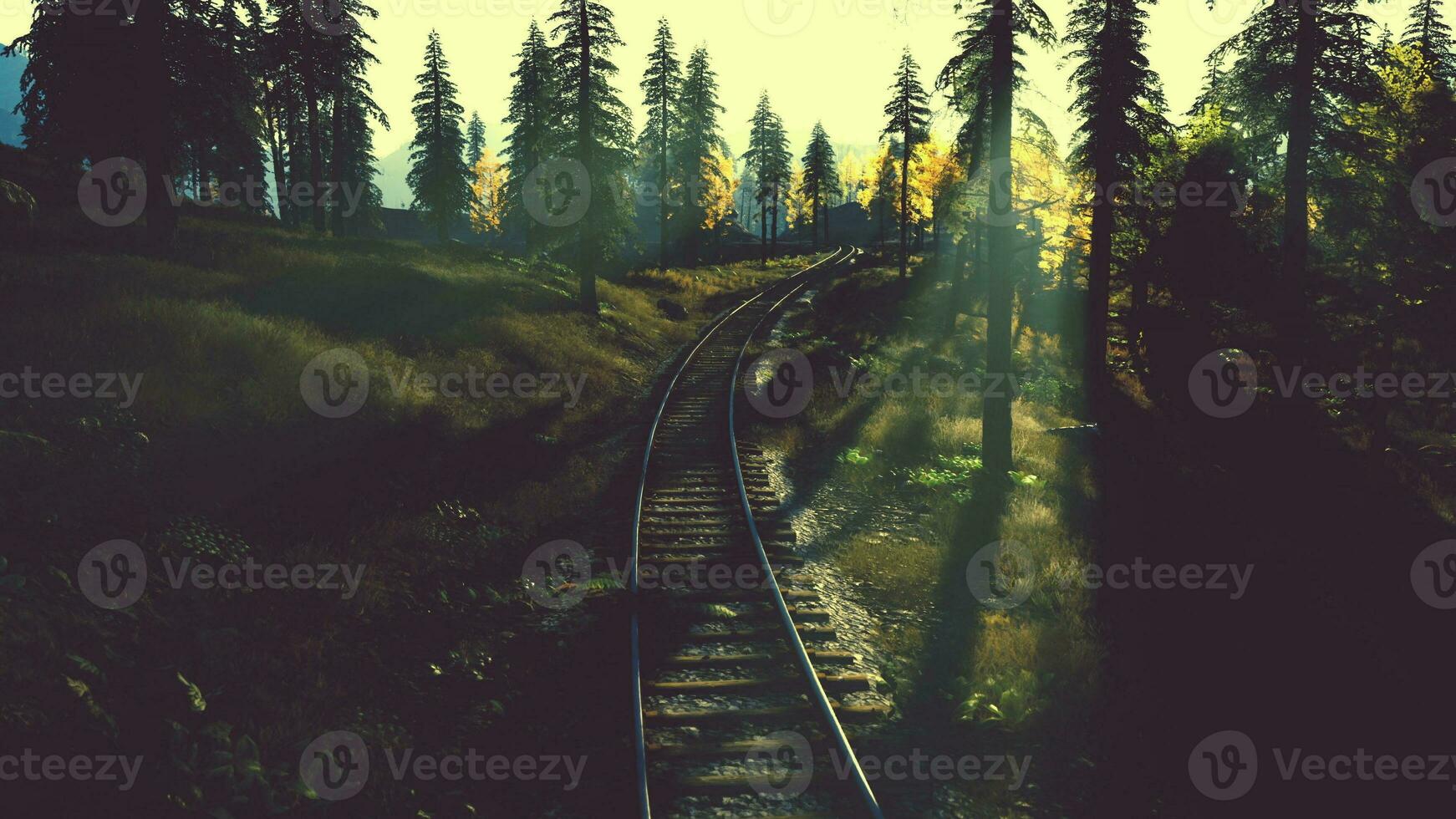 Decrepit railway snaking through a grove of evergreens at dusk photo