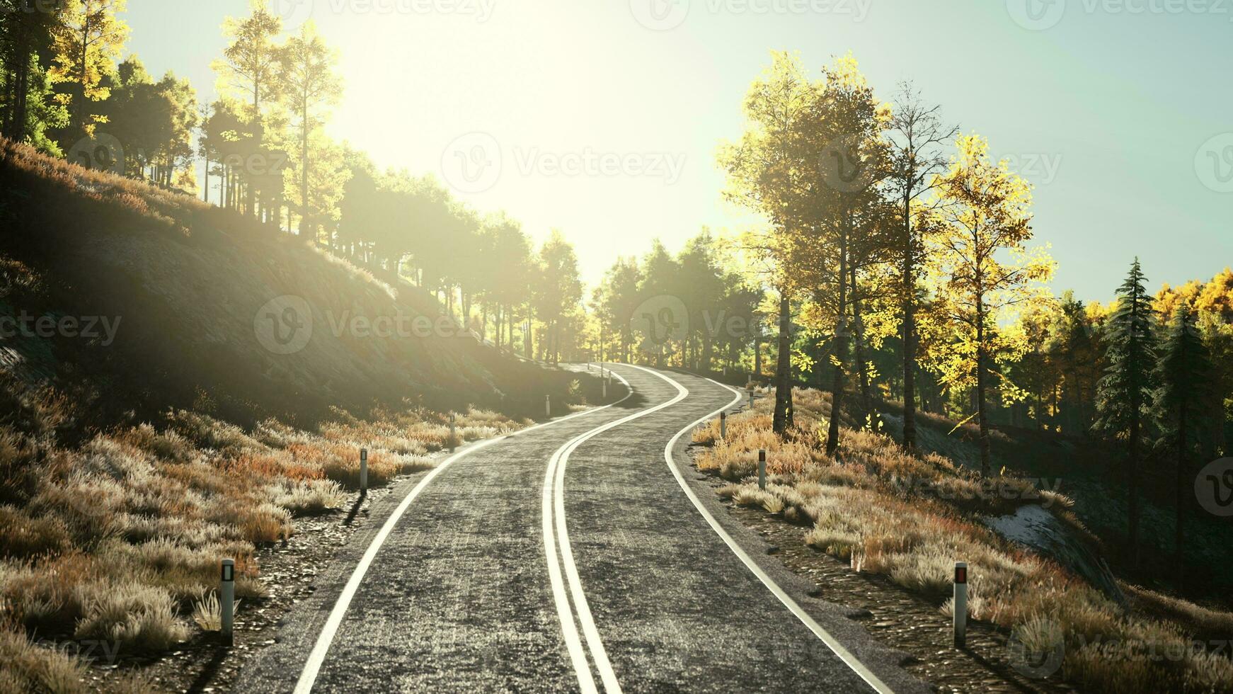 Aerial view of curvy road in beautiful autumn forest photo