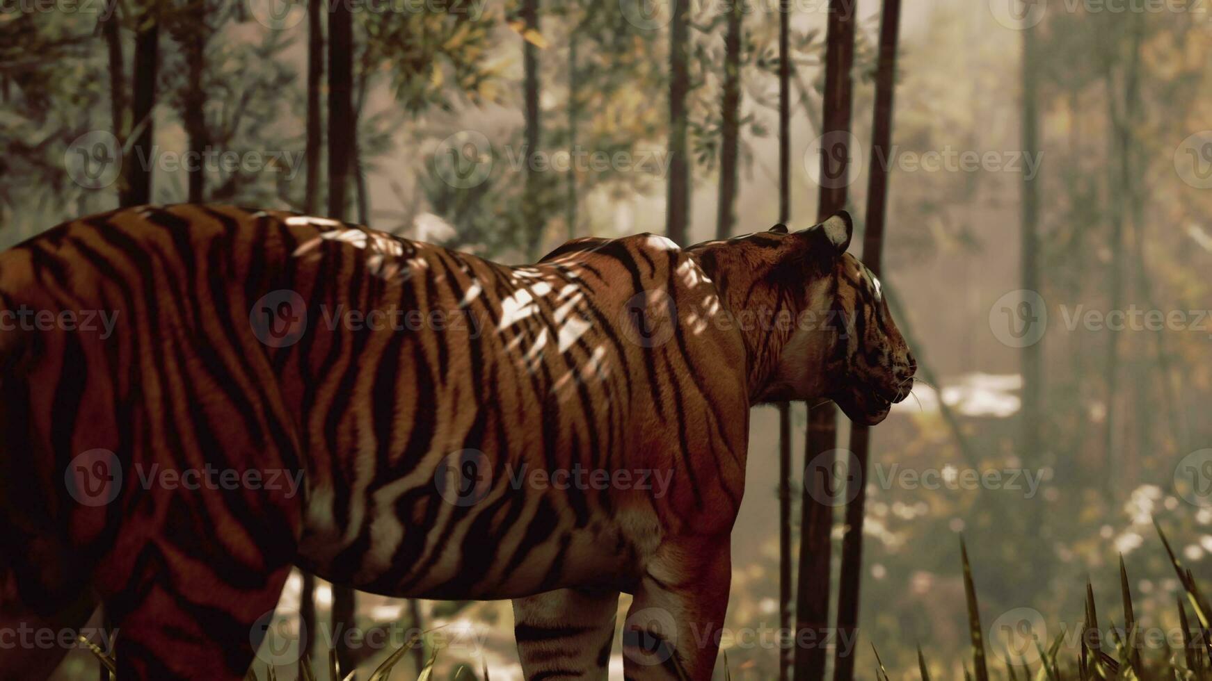 Tigre viniendo fuera desde bambú bosque foto