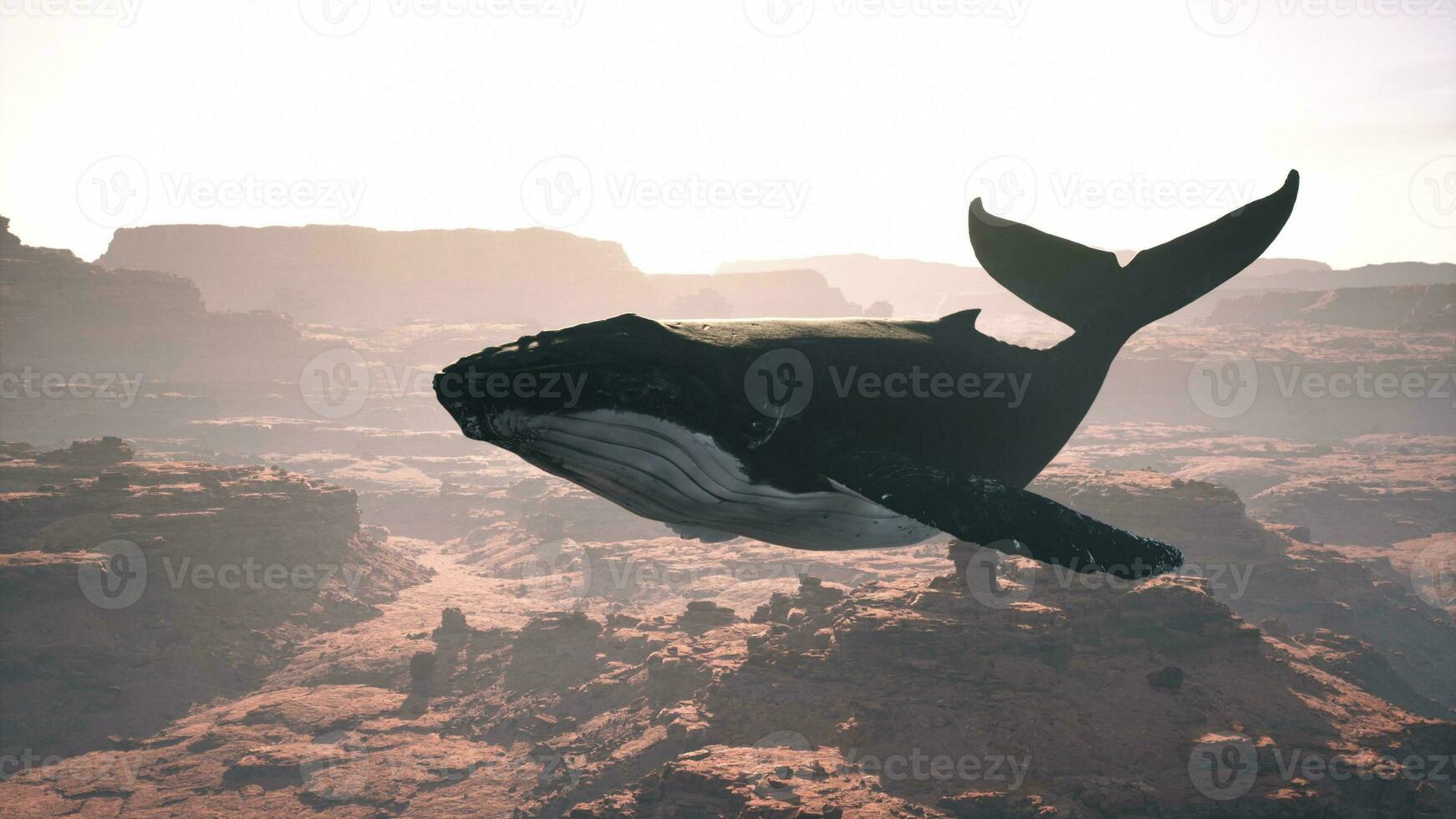 A large whale is floating in the air photo