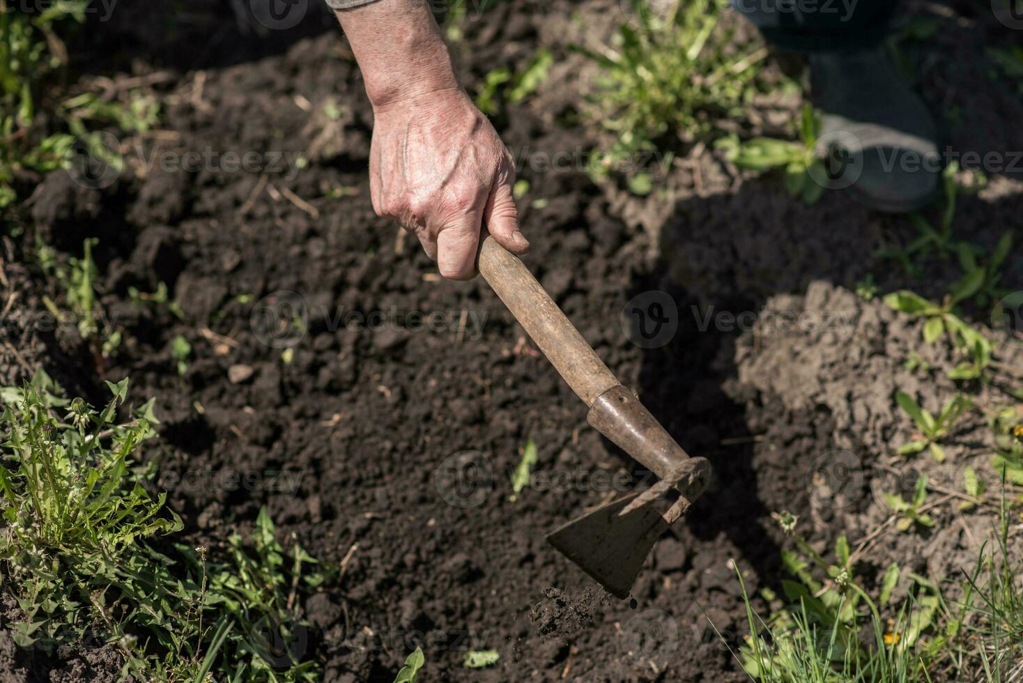 Man digs the earth with a hoe photo