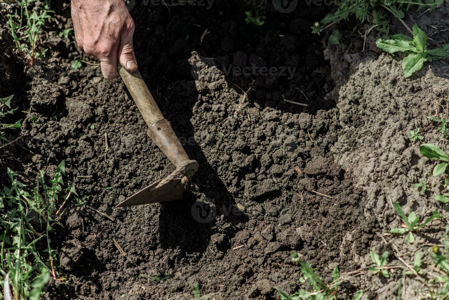 Man digs the earth with a hoe photo
