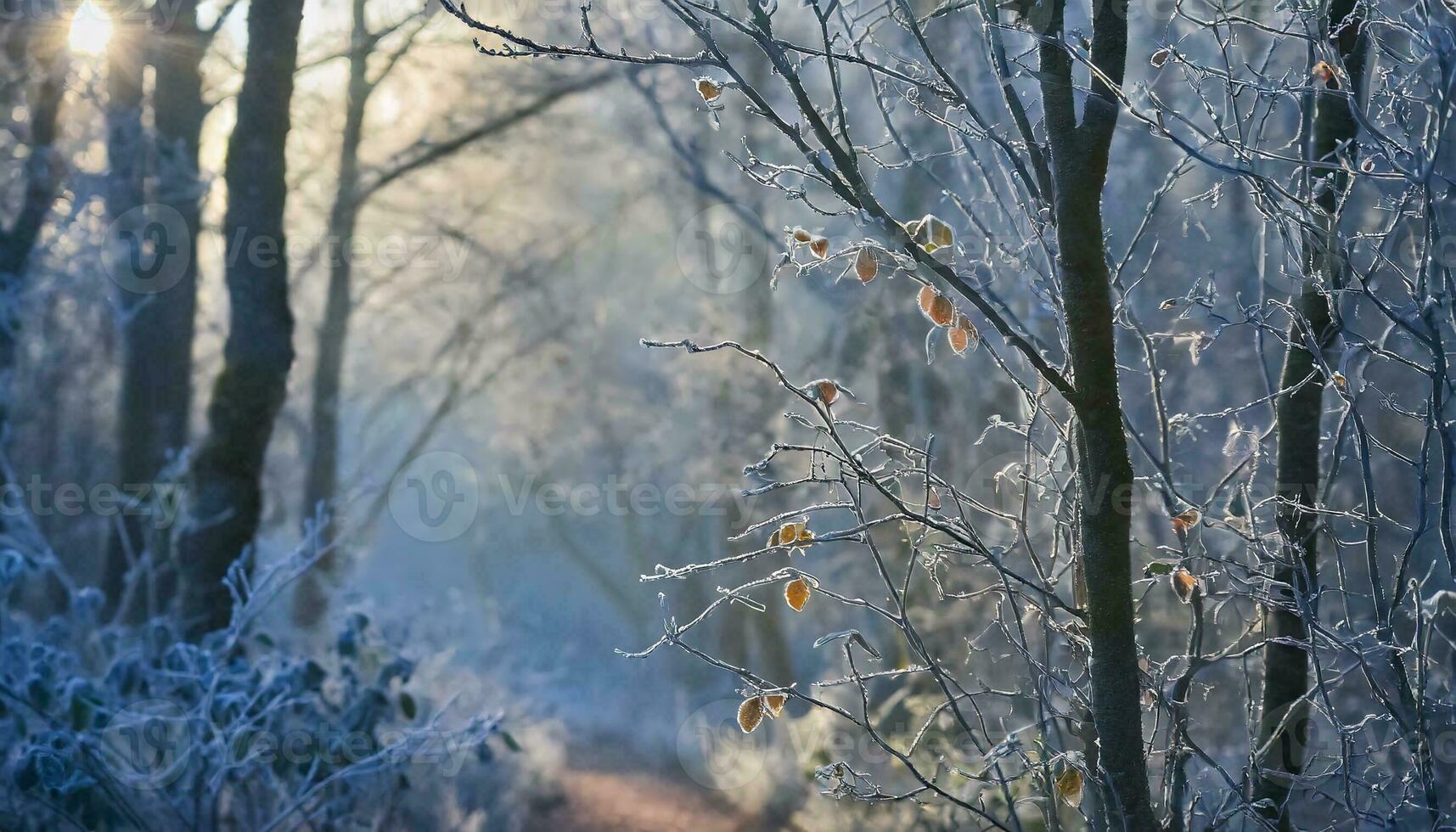 AI generated winter forest in the snow photo