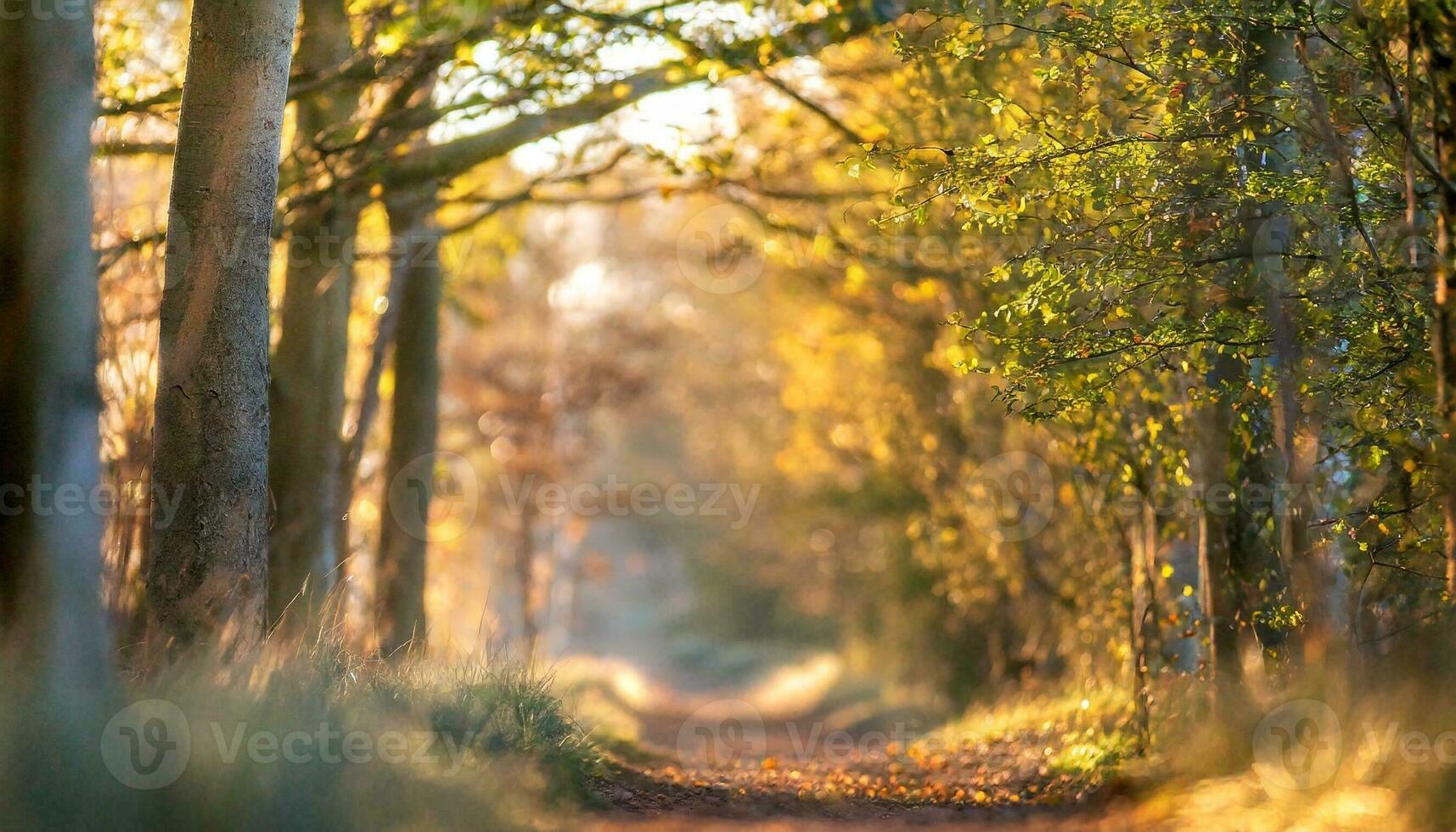 AI generated forest in the morning photo