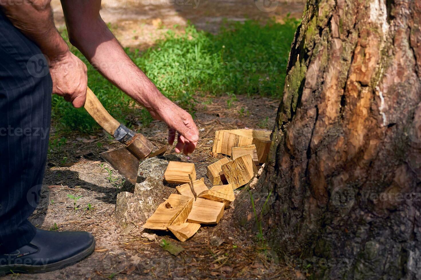 Hands of a man chopping wood with an axe at a picnic photo