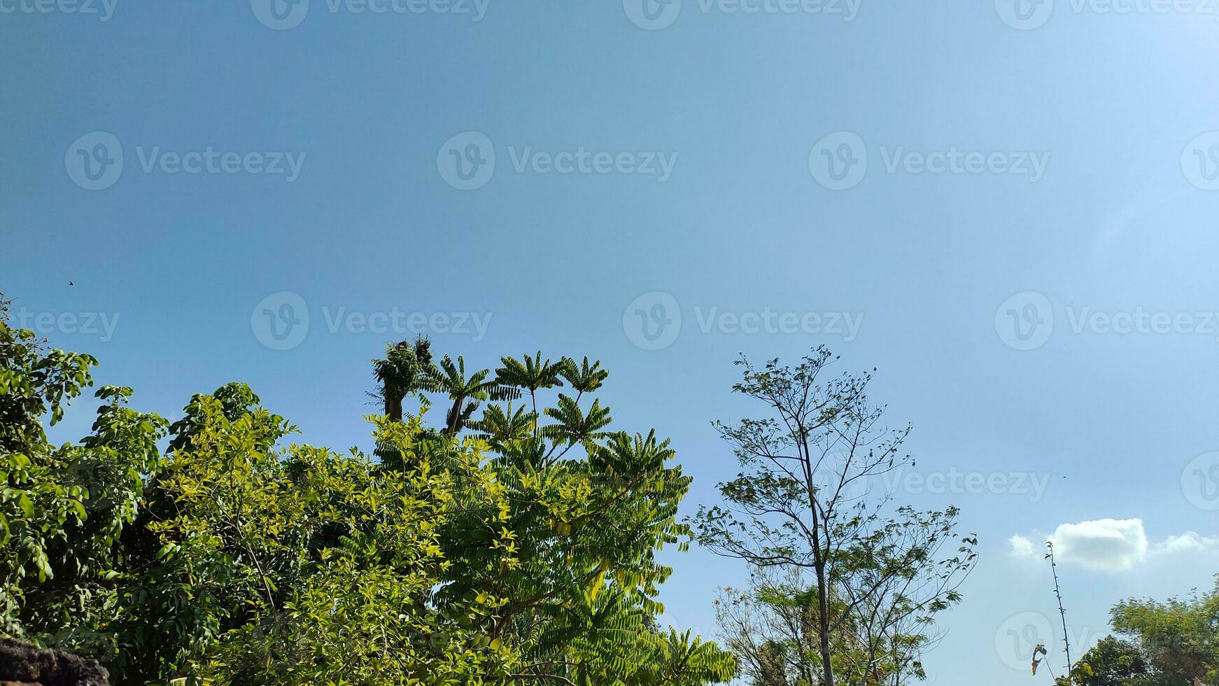 photo of property object