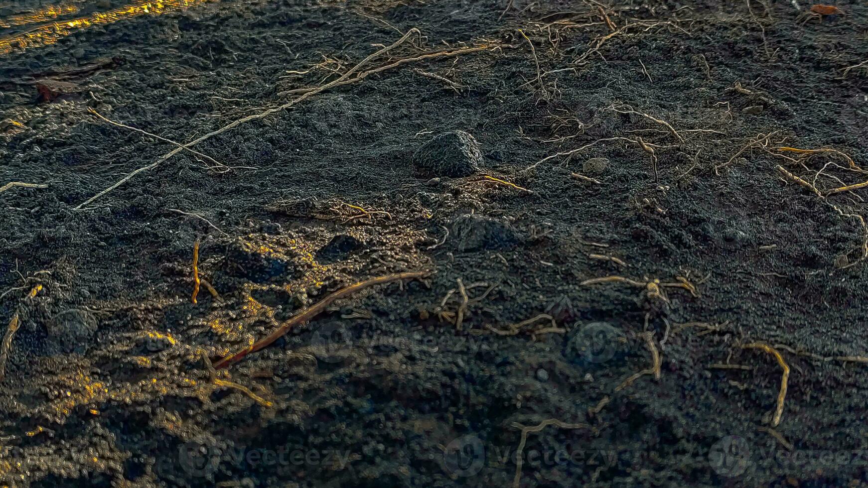 Photo of a dark soil texture with an eerie feel