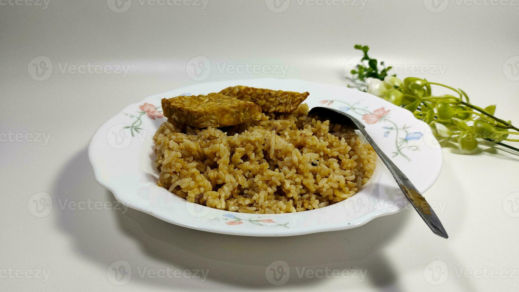 Simple fried rice from East Java, Indonesia photo
