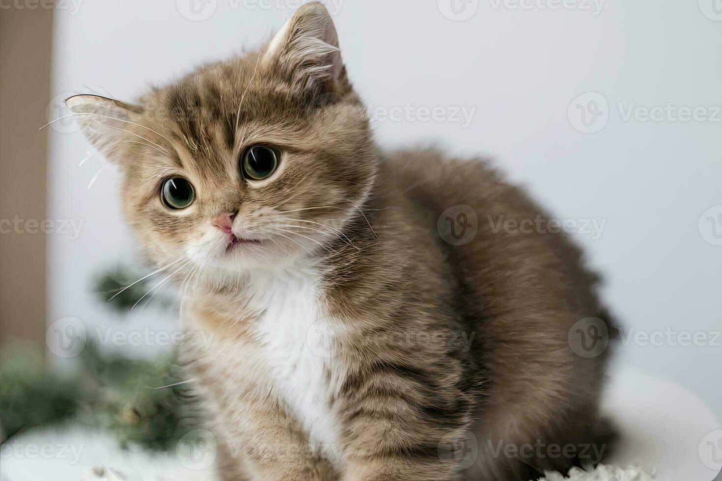 AI generated AI Generative Close up of a cat photo