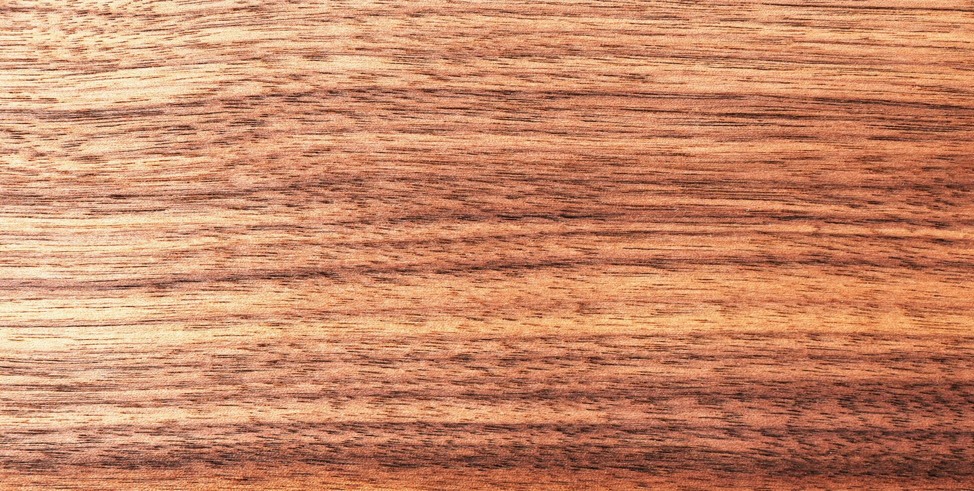 Texture pattern walnut wood background photo