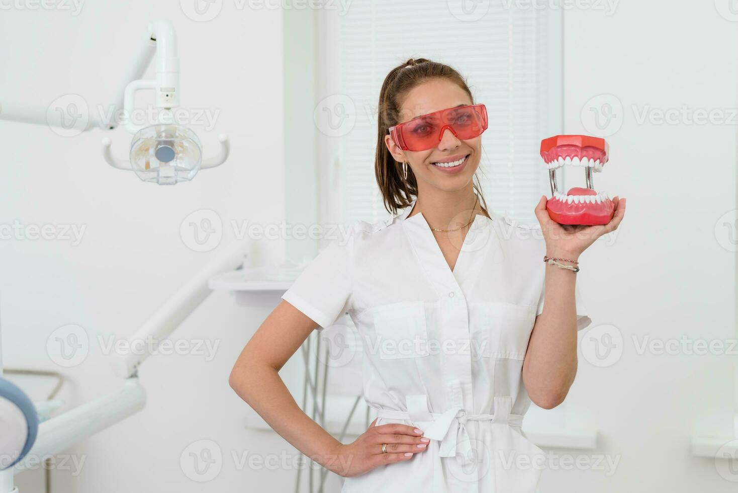 beautiful girl shows off in the hand a model of a human jaw photo