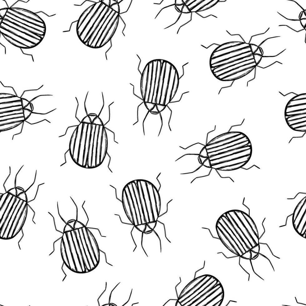 Colorado beetle pattern vector