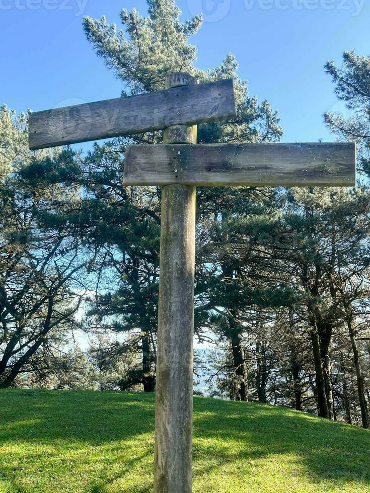 direction indicator sign made of wood located at crossroads photo