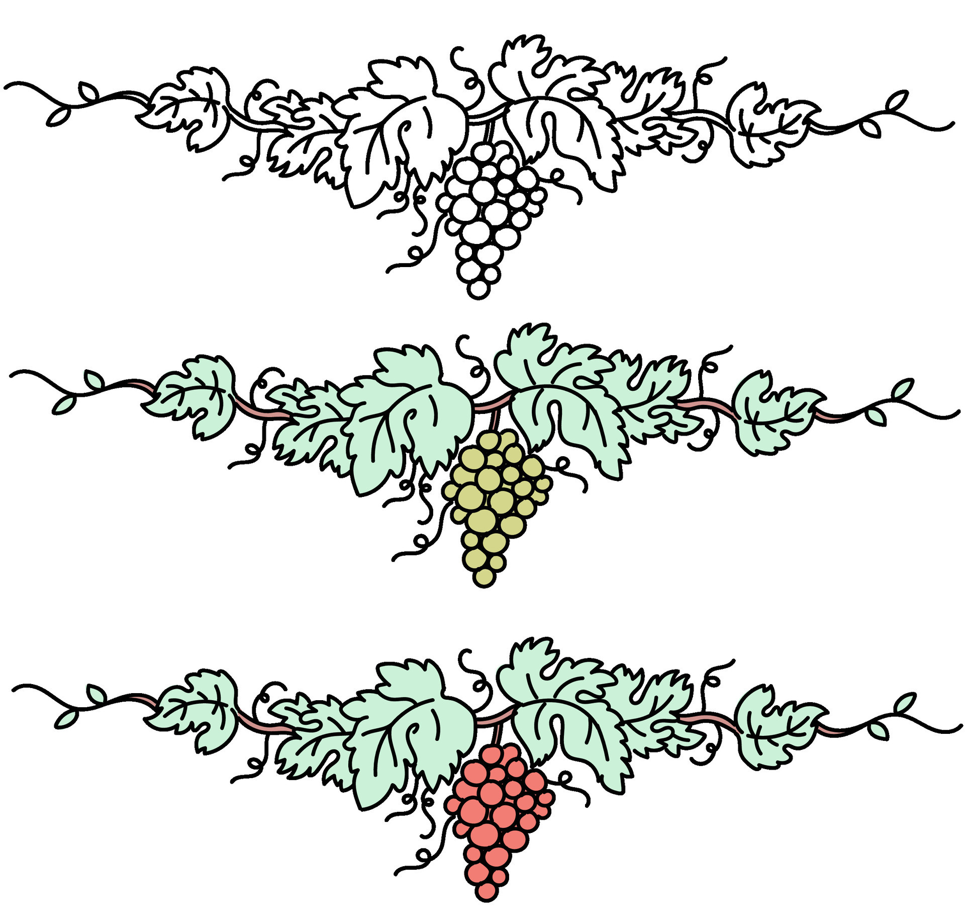 grape-vine-set-vintage-ink-hand-drawn-wine-decorations-border-floral