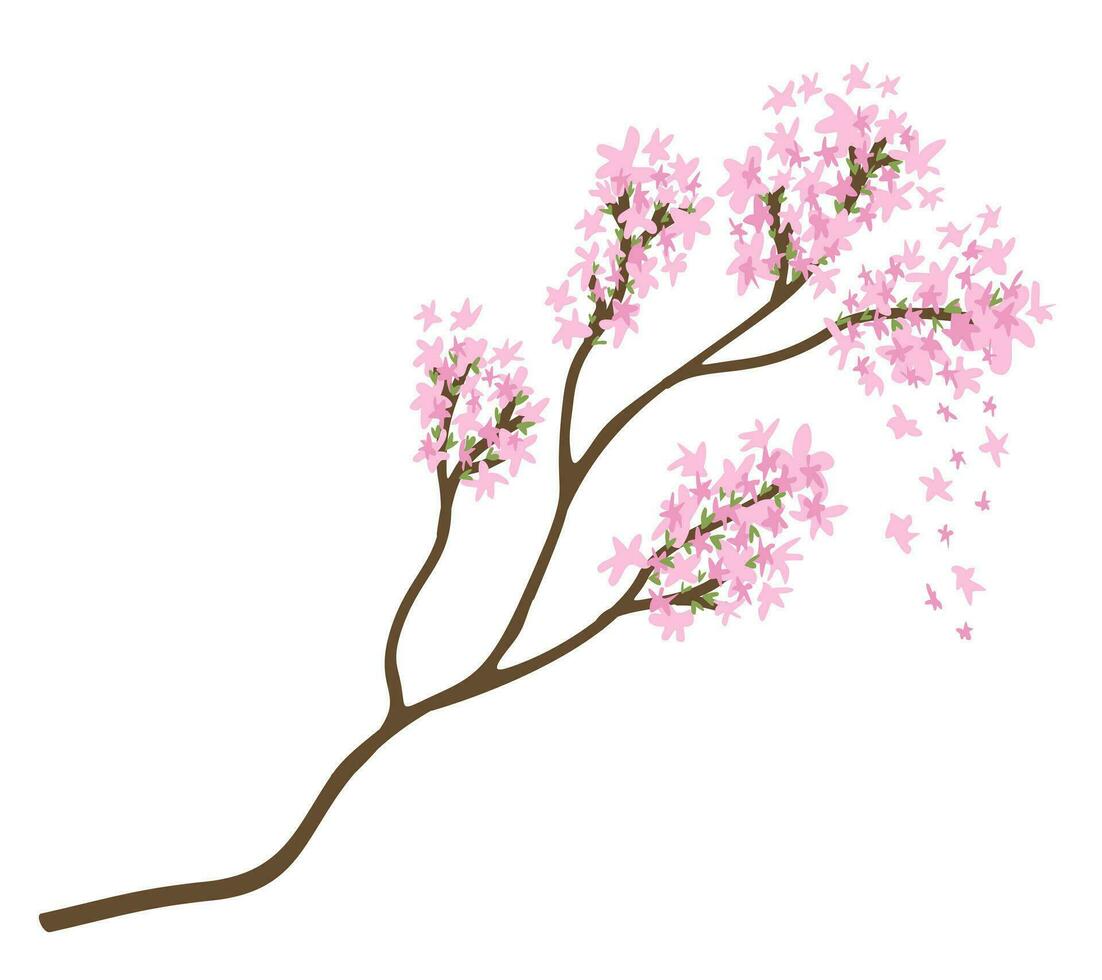 Sakura branch. Vector isolated illustration