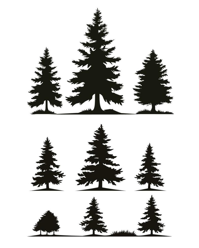 vector vintage trees and forest silhouettes set with Fir tree silhouette and outline