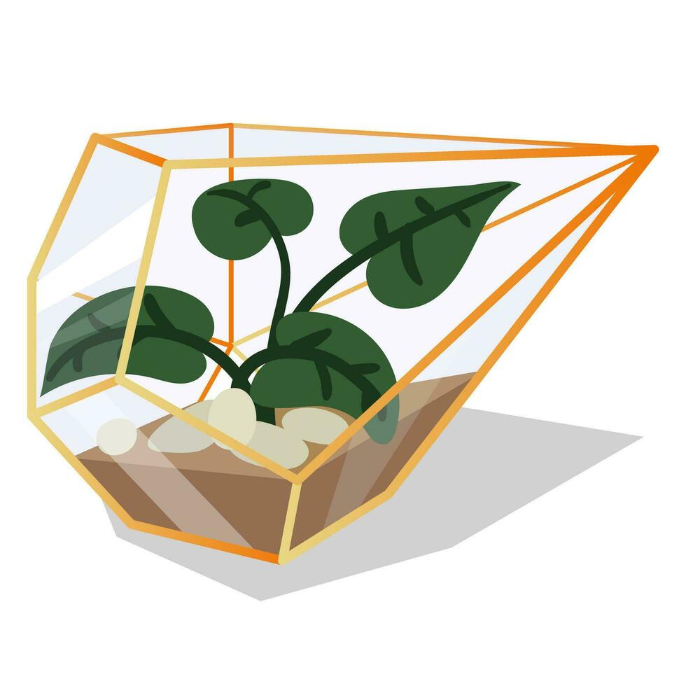 Vector illustration with a glass terrarium of a florarium highlighted in the background. Flowers in a geometric flower pot in a flat style. The plant is in a golden glass cage, isolated