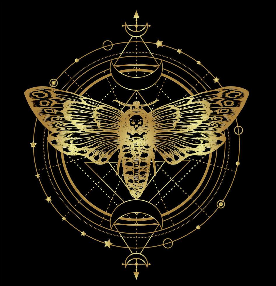 Vector of moon moth. Mystic butterfly with a skull sketch. Golden moth over sacred geometry sign. Mystical and magical, astrology illustration