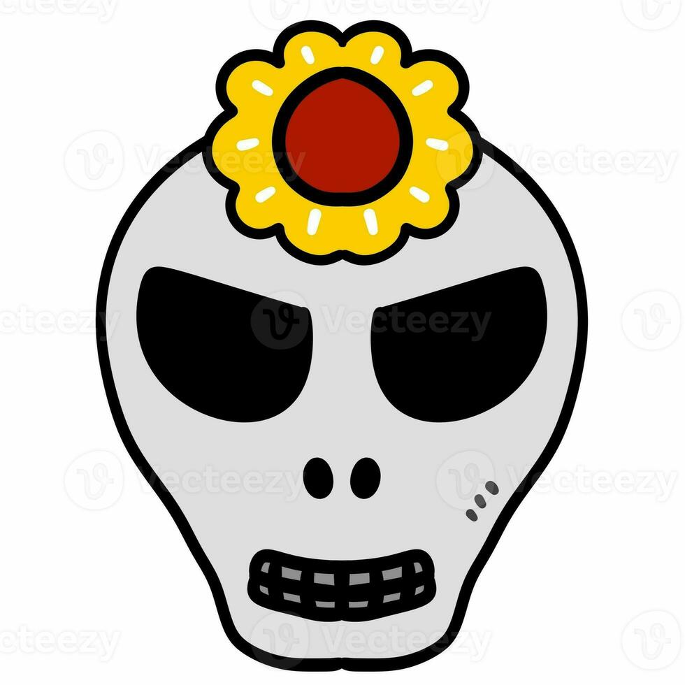 skull with flower cartoon icon photo