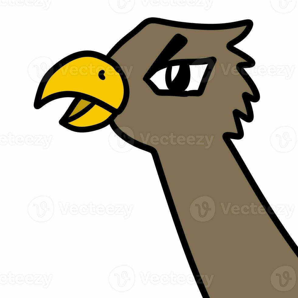 eagle, illustration on white background photo